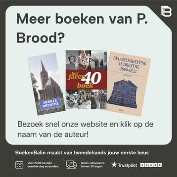 Het Drostenhuis in Ootmarsum - P. Brood 9789087040864, Boeken, Verzenden, Zo goed als nieuw, P. Brood