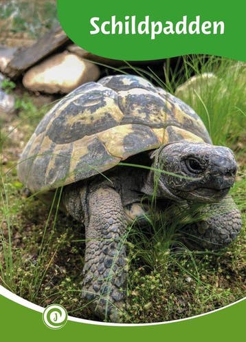 9789464395662 Junior Informatie 186 - Schildpadden, Boeken, Verzenden, Nieuw, Geert-Jan Roebers