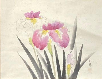 Irissen (Kakitsubata) - Papier - Kurihara Gyoyo - Japan -