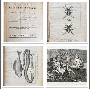 Sonnini - [Atlas] Voyage en Grèce et en Turquie, fait par
