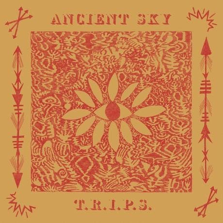 Ancient Sky - T.R.I.P.S., Cd's en Dvd's, Cd's | Pop, Gebruikt, Ophalen of Verzenden