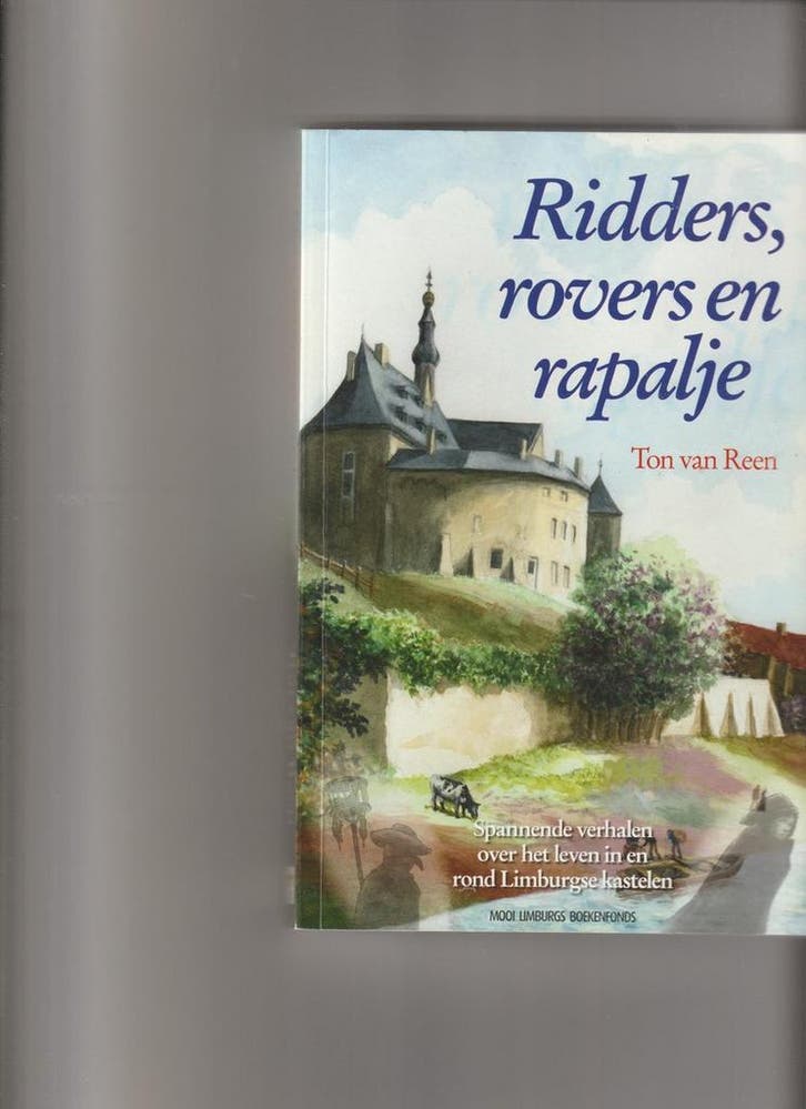 RIDDERS, ROVERS EN RAPALJE 9789085960881 Ton van Reen, Boeken, Kinderboeken | Kleuters, Gelezen, Verzenden