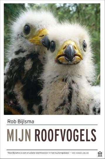 Mijn Roofvogels | Rob Bijlsma | Nieuw, Ophalen of Verzenden, Nieuw, Rob Bijlsma