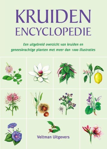 De kruidenencyclopedie - Hans W. Kothe 9789048309290, Verzenden, Gelezen, Hans W. Kothe