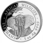 Somalische Olifant 5 oz 2021, Verzenden, Overige landen, Losse munt, Zilver