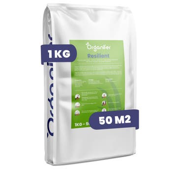 Herstelgazon Graszaad – Resilient (1 kg voor 50 m2), Verzenden, Gehele jaar, Volle zon
