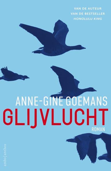 Glijvlucht (Nieuw), Boeken, Verzenden, Nieuw, Anne-Gine Goemans