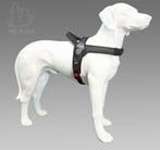 De officiële Treponti webshop, ALLES op voorraad!, Eén hond, Nederland, Particulier