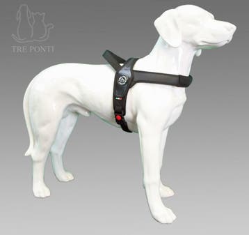 De officiële Treponti webshop, ALLES op voorraad!, Eén hond, Nederland, Particulier