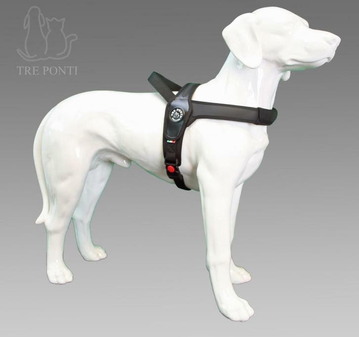De officiële Treponti webshop, ALLES op voorraad!, Dieren en Toebehoren, Honden | Bulldogs, Pinschers en Molossers, Eén hond, Particulier