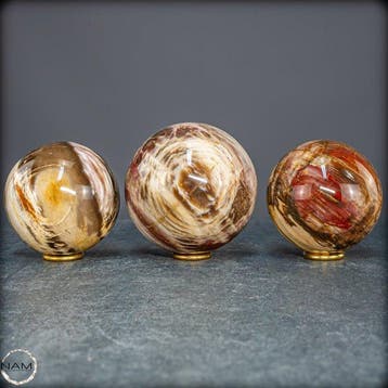 Exclusieve set van versteend hout uit Madagaskar – Tijdloze
