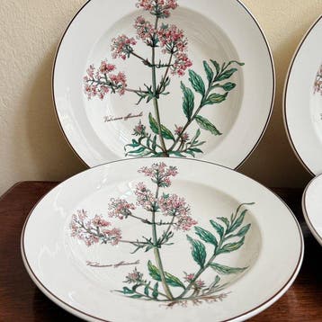 Villeroy & Boch - Bord (6) - Botanica - Porselein - 6