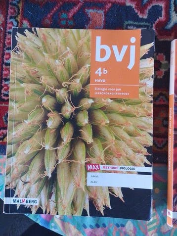 bvj 4b Havo  9789402031768, Zo goed als nieuw