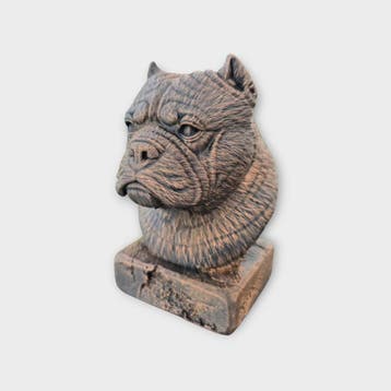 Bust of a Exotic bullly statue - home decor animal lover gif, Verzenden, Nieuw