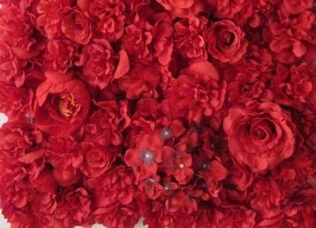 Flowerwall 40x60 cm 3D Rood Kant en Klaar kleur 14, Ophalen of Verzenden, Nieuw