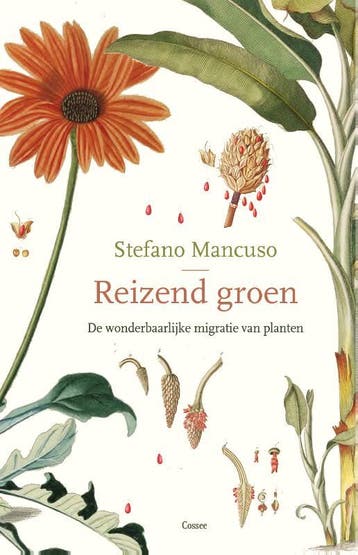 Reizend groen - Stefano Mancuso 9789059368583, Verzenden, Zo goed als nieuw, Stefano Mancuso