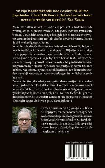 Het ontstoken brein 9789044638851 Edward Bullmore, Boeken, Verzenden, Zo goed als nieuw, Edward Bullmore