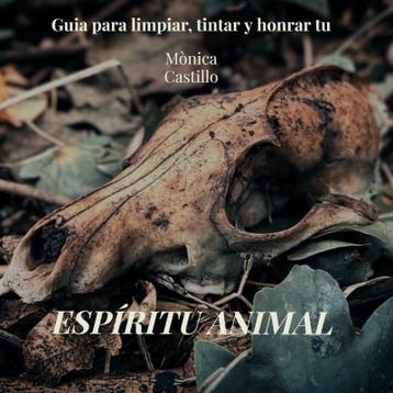 Espíritu Animal | Monica Castillo | Nieuw, Boeken, Ophalen of Verzenden, Nieuw, Monica Castillo