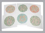 Colour Vision Card Volwassenen kleurentest 15 platen,, Verzenden, Nieuw
