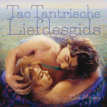 Tao tantrische liefdesgids - Dick Nijssen 9789077908143, Boeken, Verzenden, Gelezen, Dick Nijssen