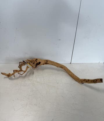 Boutique Stump Selected BS278 - 86x38x16cm (Natuurlijk hout), Ophalen of Verzenden, Nieuw, Plant(en), Steen of Hout