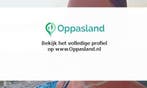 Ik ben Sabrina, 30 jaar oud en ik zoek oppaswerk in Nijme...