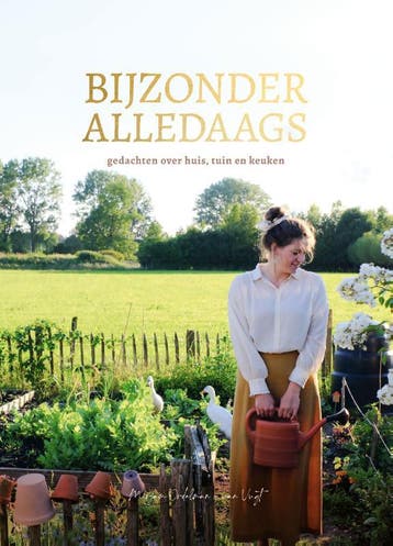 Bijzonder Alledaags | Mirjam Ordelman-Van Vugt | Nieuw, Ophalen of Verzenden, Nieuw, Mirjam Ordelman-Van Vugt