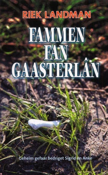 De fammen fan Gaasterlân - R. Landman 9789033006777, Boeken, Verzenden, Gelezen, R. Landman