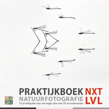 Praktijkboek Natuurfotografie NXT LVL / Praktijkboeken, Boeken, Verzenden, Zo goed als nieuw, Theo Bosboom