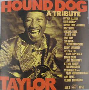 cd - Various - Hound Dog Taylor - A Tribute, Verzenden, Zo goed als nieuw