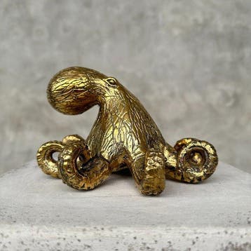 sculptuur, NO RESERVE PRICE - A Polished Octopus Sculpture