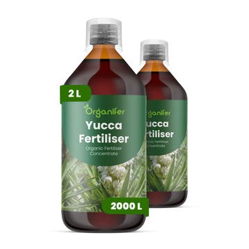 Vloeibare meststof voor Yucca - Set 2x1 liter, Verzenden, Mest