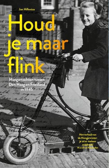 Houd je maar flink - Jan Hillenius 9789462624016, Verzenden, Gelezen, Jan Hillenius
