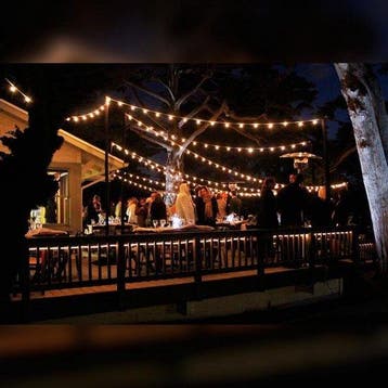 Led prikkabel Lichtsnoer - 64 lampen - 50 meter - IP44 outdo, Ophalen of Verzenden, Nieuw