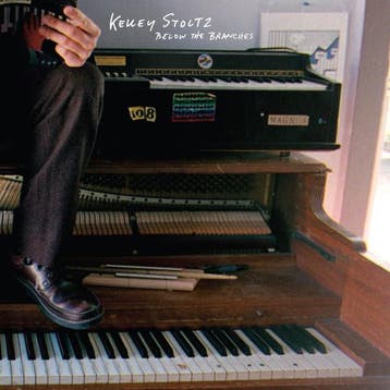 cd digi - Kelley Stoltz - Below The Branches, Verzenden, Zo goed als nieuw