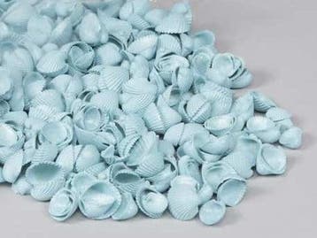 Clamrose schelpen Blue washed 1 kilo, Hobby en Vrije tijd, Ophalen of Verzenden, Nieuw