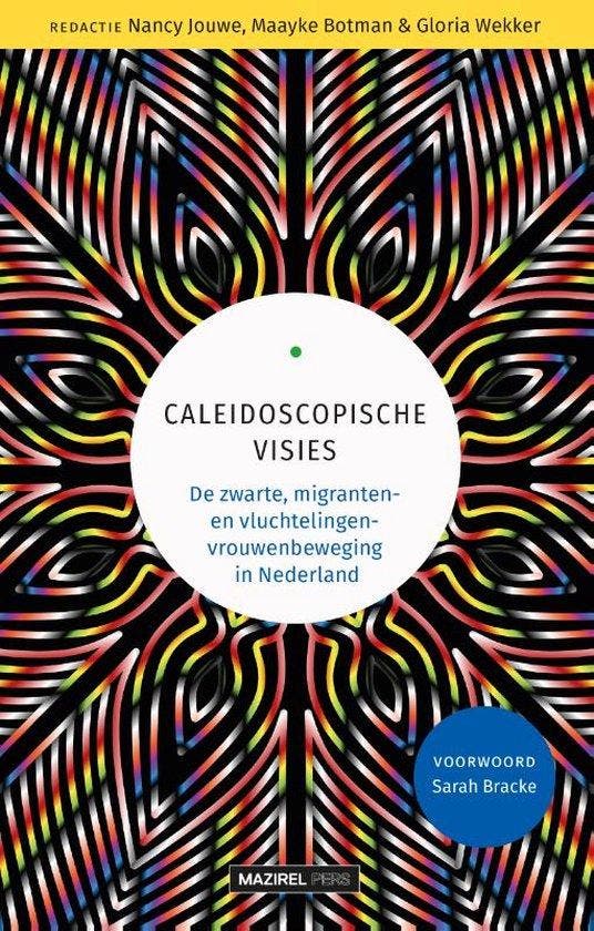 Caleidoscopische visies 9789464563610, Boeken, Politiek en Maatschappij, Gelezen, Verzenden