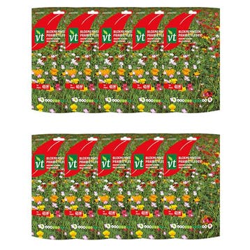 Bloemzaden duizend lichtjes | VT | 10 stuks, Verzenden