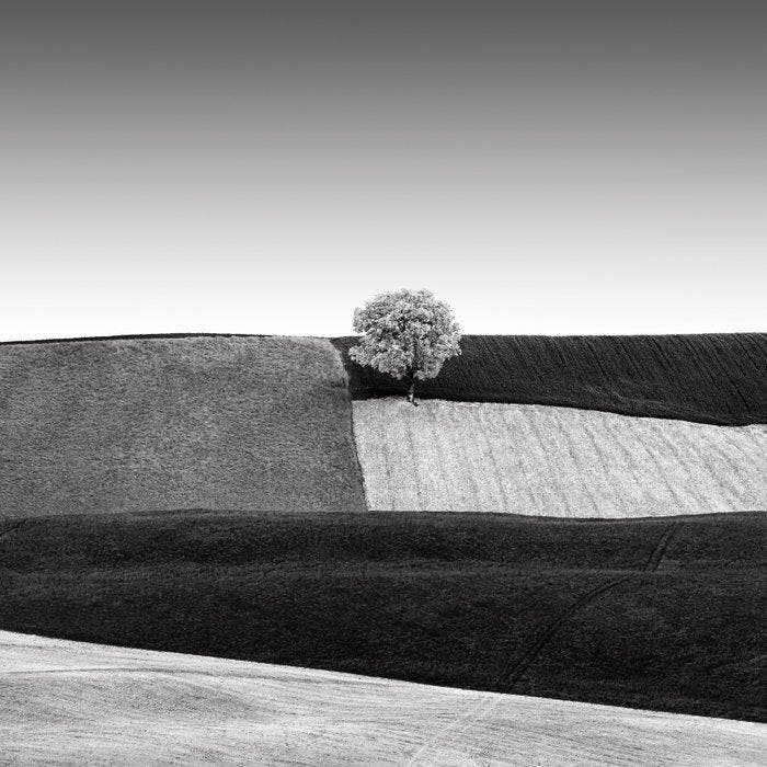 Rosario Civello - Fields #7, Antiek en Kunst, Kunst | Designobjecten