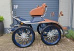 Glinkowski kcs marathonwagen koets, Zo goed als nieuw, Marathonwagen, Paard