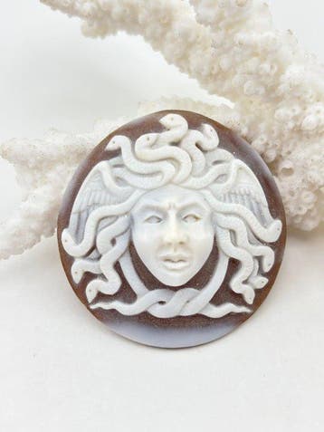 CASSIS MADAGASCARIENSIS Cameo - Handgesneden camee
