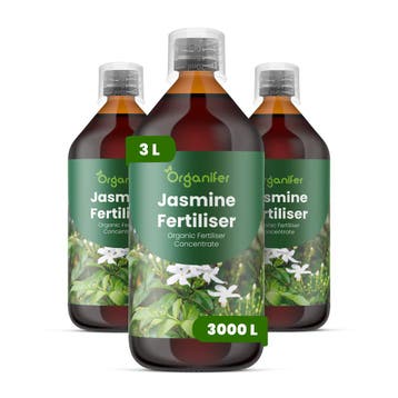 Jasmijn vloeibare meststof - Set 3x1 liter, Verzenden, Mest