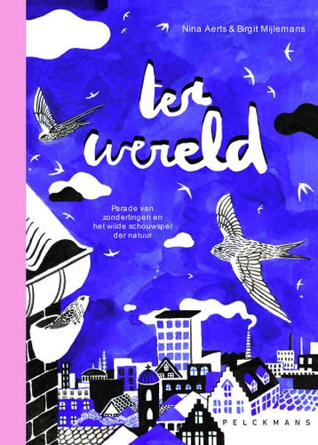 Ter wereld - Birgit Mijleman 9789464017502, Verzenden, Zo goed als nieuw, Birgit Mijleman