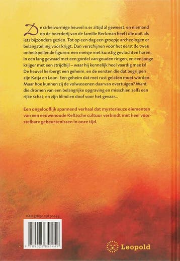 Het vuur van de Kelten - D. Reiche 9789025850449, Boeken, Verzenden, Gelezen, D. Reiche