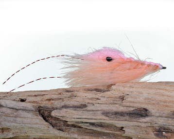 NIEUWE ZEEFOREL VLIEGEN, Klik naar E10 Flyfishing!, Verzenden, Nieuw, Overige typen