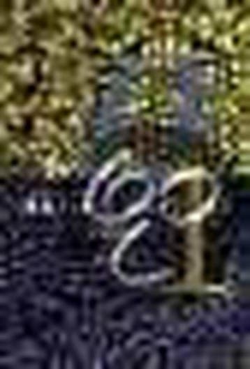 Nullen en enen - S. Plant 9789025424350, Boeken, Verzenden, Gelezen, S. Plant