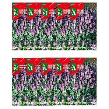 Lavendel zaad | VT | 10 stuks, Verzenden