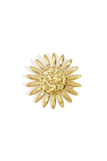 Goudlief Roestvrijstalen broches bloemen casual dagelijks..., Verzenden, Nieuw, Zilver, Overige materialen