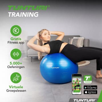 Tunturi Anti Burst Fitness bal met Pomp - Yoga bal 65 cm -, Ophalen of Verzenden, Nieuw