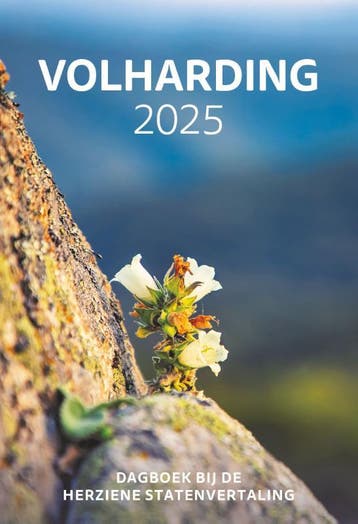 Volharding / 2025 9789085203551, Boeken, Verzenden, Gelezen